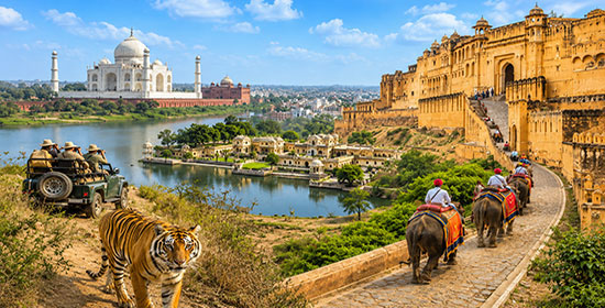 Exclusive Rajasthan Tour with Taj & Wildlife