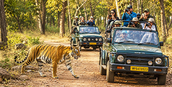 Rajasthan Wildlife Tour Package