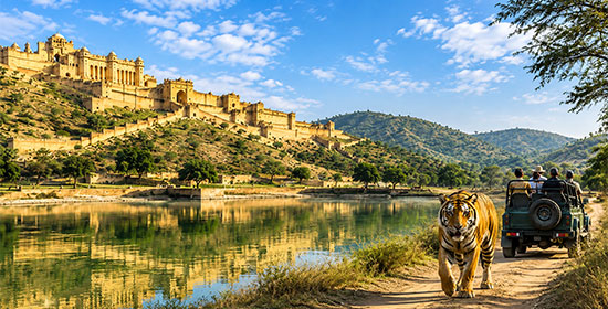 2 Days Jaipur Ranthambore Tour